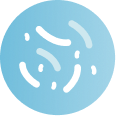 enterobalance probioticos